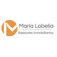 Asesores Integrales Asesores Integrales