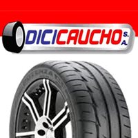 DICICAUCHO, S.A. DICICAUCHO, S.A.