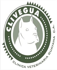 CLINICA VETERINARIA GUAYANA, C.A CLINICA VETERINARIA GUAYANA, C.A