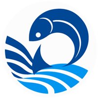 COLANFISH COLANFISH