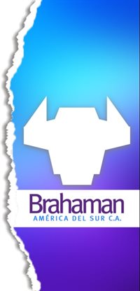 Brahaman América Del Sur Brahaman América Del Sur