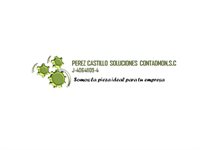 PC SOLUCIONES CONTADMON SC PC SOLUCIONES CONTADMON SC