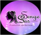 SENGE S.A.S 2013, C.A SENGE S.A.S 2013, C.A