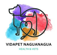 Vidapet Naguanagua Vidapet Naguanagua
