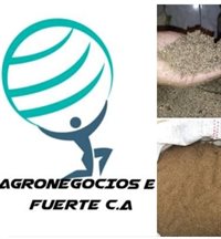 Agronegocios El Fuerte C.A Agronegocios El Fuerte C.A