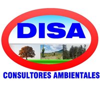 DISA CONSULTORES DISA CONSULTORES