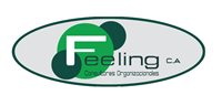 Feeling Consultores C.A. Feeling Consultores C.A.