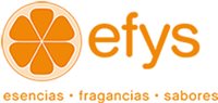 Corporacion Efys, C.A. Corporacion Efys, C.A.