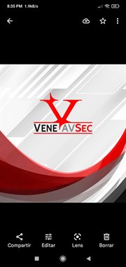 SERVICIOS VENEAVSEC