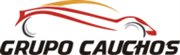 MERCAUCHOS C.A logo