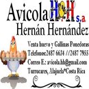 Avicola H.H.S.A. logo