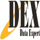 DEX logo