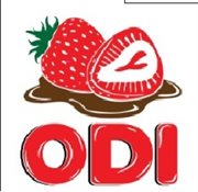 INDUSTRIAS ODI logo